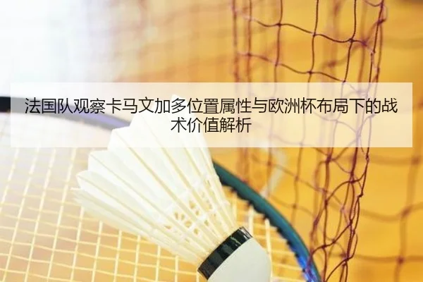 法国队观察卡马文加多位置属性与欧洲杯布局下的战术价值解析